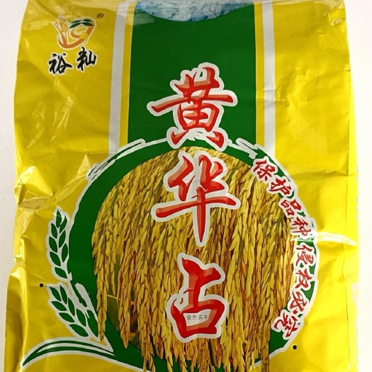 华容县大田种植 黄华占长粒水稻种子 常规种 虾田稻谷种 米质优