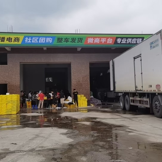 廉江市廉江良垌荔枝代收