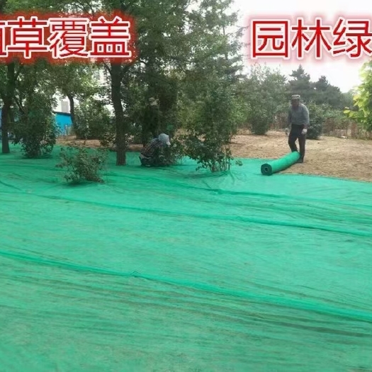 无纺布种草绿化无纺布防尘无纺布育苗育秧无纺布防寒无纺布