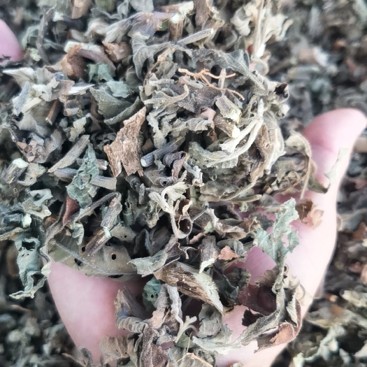 阳春市广藿香饮片；个子；叶；段子；沫子；粉
