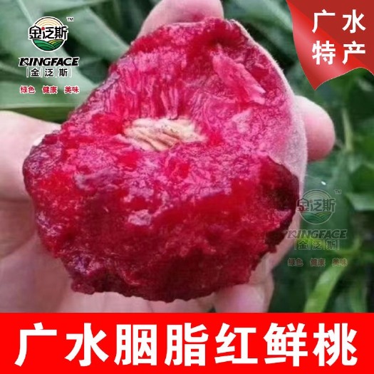 广水市广水胭脂红桃子 血红桃子