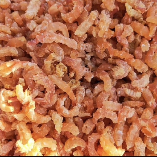 滨州金沟海米