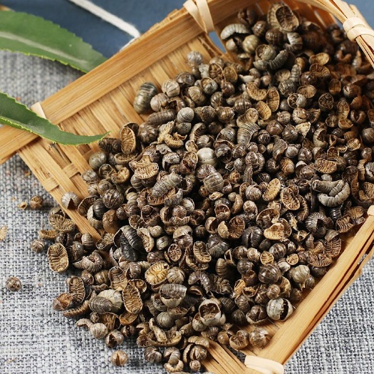 亳州中药材鼠妇虫鼠妇潮虫地虱子当年新货质量保证一件包邮