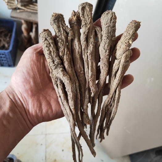岷县岷县当归  精品中条