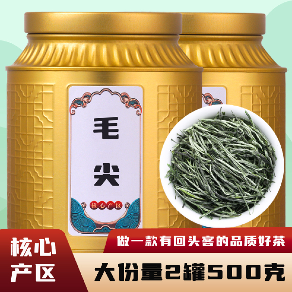 2024新茶毛尖茶叶品质明前嫩芽浓香型绿茶散装毛尖茶500g