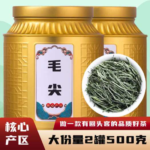 安溪县2024新茶毛尖茶叶品质明前嫩芽浓香型绿茶散装毛尖茶500g