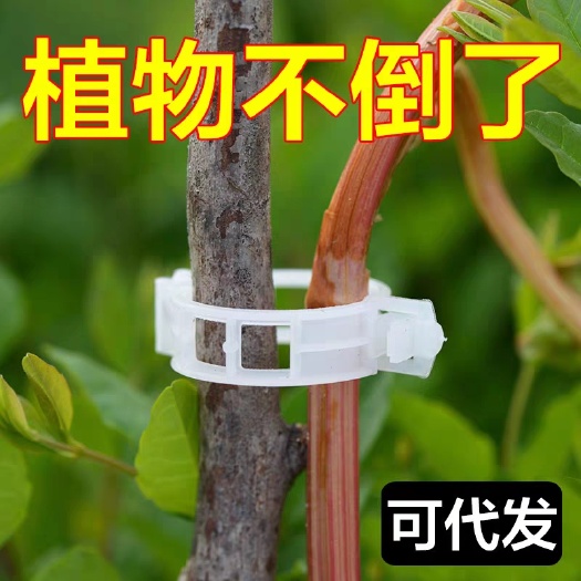无棣县农园种植爬藤落秧扶蔓固定夹蔬菜瓜果卡扣环扣果树绿蔬植物绑蔓夹