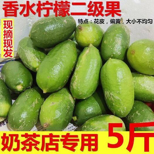 海南新鲜无籽香水柠檬多汁水果二级果花皮丑果次果包邮奶茶店榨汁