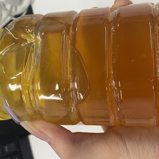 广州自养荔枝蜂厂