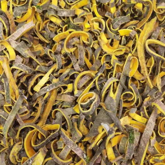 成都黄柏 各种各样规格 各类药材规格齐全