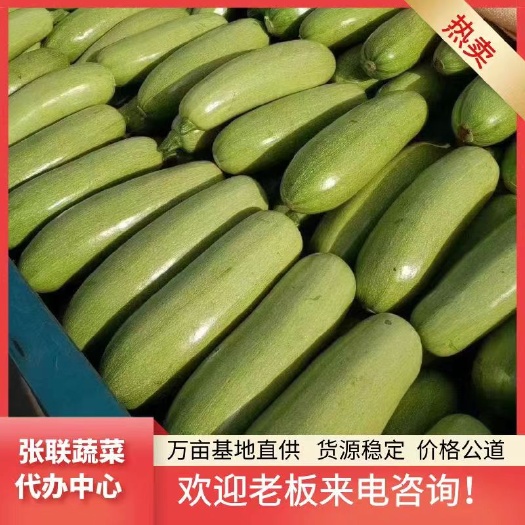 博爱县西葫芦，单个0.7-1斤左右，颜色绿，个头匀，适合电商，市场