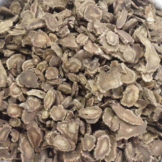 成都木香 各种各样规格 各类药材规格齐全