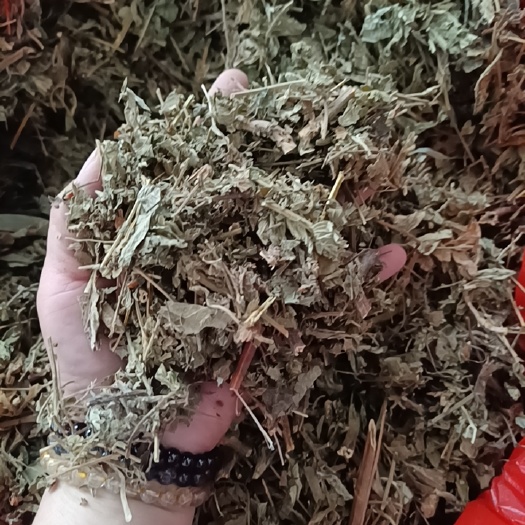 中草药干货仙鹤草别名龙芽草脱力草量大从优