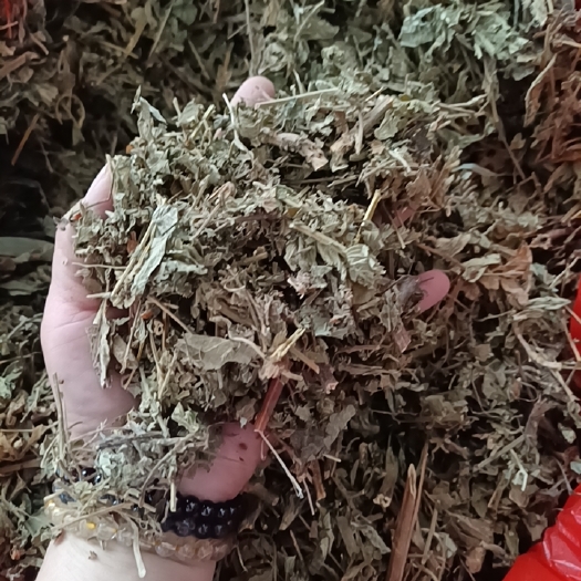 玉林中草药干货仙鹤草别名龙芽草脱力草量大从优