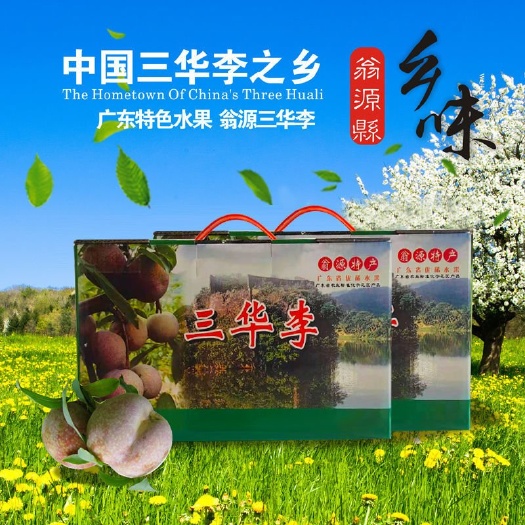 翁源县三华李果园批发