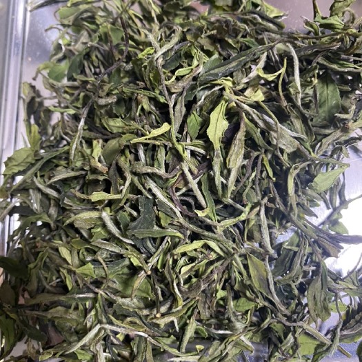 2023小菜茶兰花香小白茶 老树小菜500克