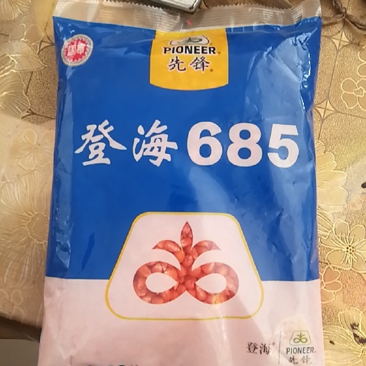 故城县抗倒伏，抗高温高产