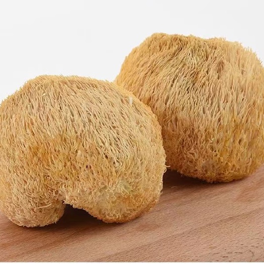 金寨县猴头菇精选优质大别山区金寨特产