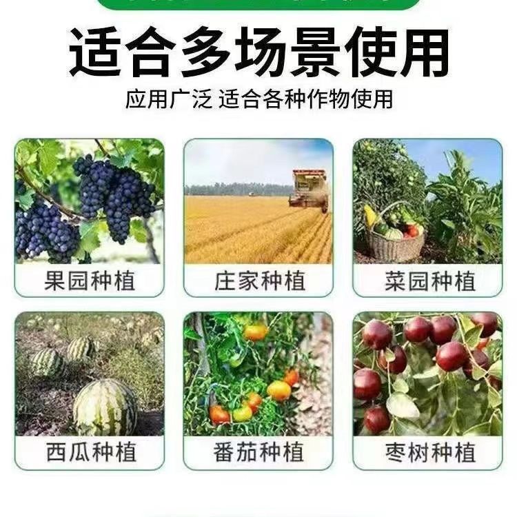 果园防虫防鸟网尼龙网果树葡萄樱桃大棚防护网果园用网农用网