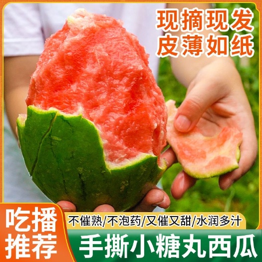 寿光市2K小西瓜//小糖丸//手撕西瓜现货秒发批发一件代发