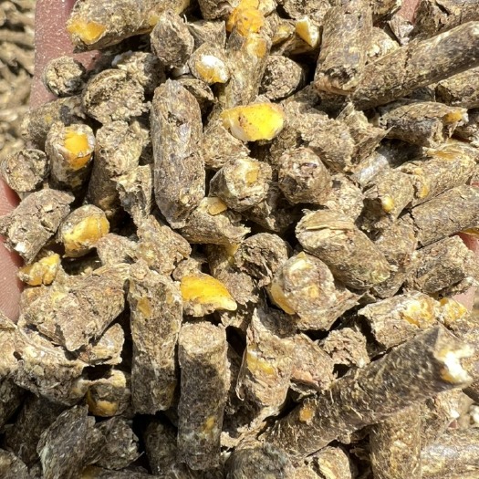 正阳县优质花生秧玉米熟化颗粒