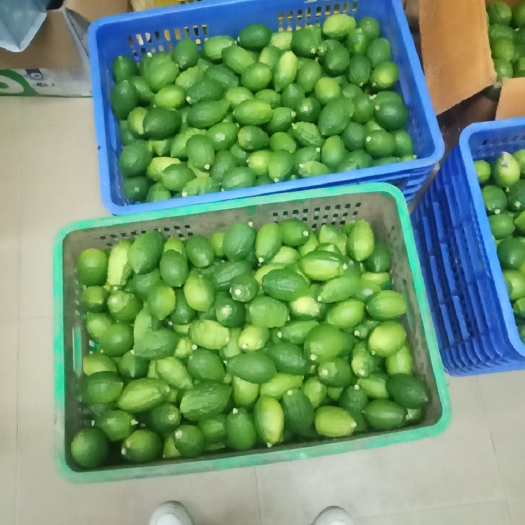 惠州香水柠檬
