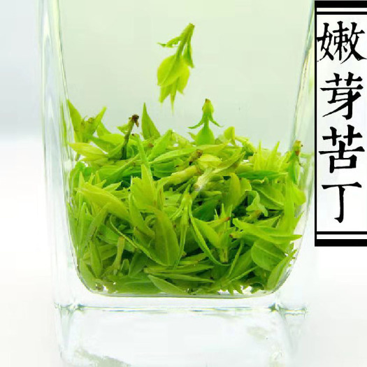 重庆市小叶苦丁茶2025年新茶叶四川青山绿水野生苦茶毛冬青嫩芽茶