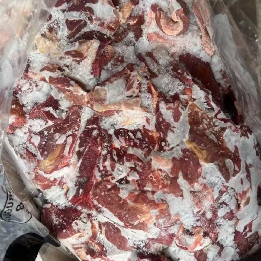 河间市80比例牛前。大块牛肉，牛前腿肉。