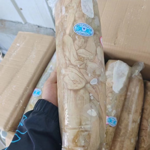 锡林浩特拐肠