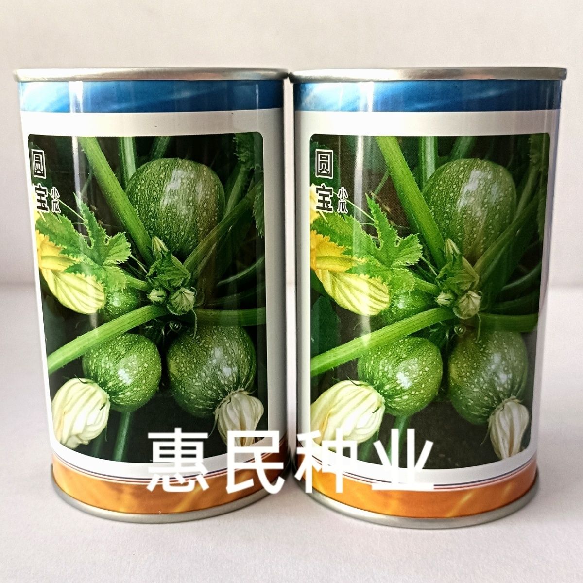 华容县菜农基地专用圆宝西葫芦种子杂交圆形嫩南瓜小青瓜油绿色耐贮运