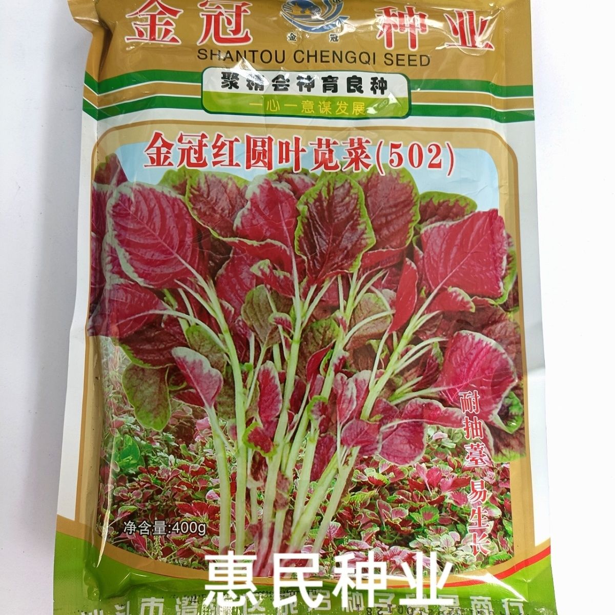 菜农专用金冠红圆叶苋菜种子502大叶红汗菜春秋四季蔬菜种孑