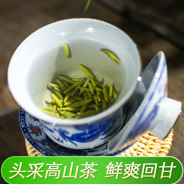 明前雀舌2024年新茶新款高山绿茶四川茶全芽茶叶春茶毛尖