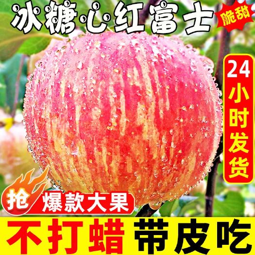 【陕西洛川苹果】脆甜现摘精选陕西洛川红富士苹果水果批发一整箱