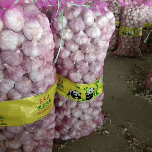 金乡县金乡太空蒜，代发代加工，全国市场，