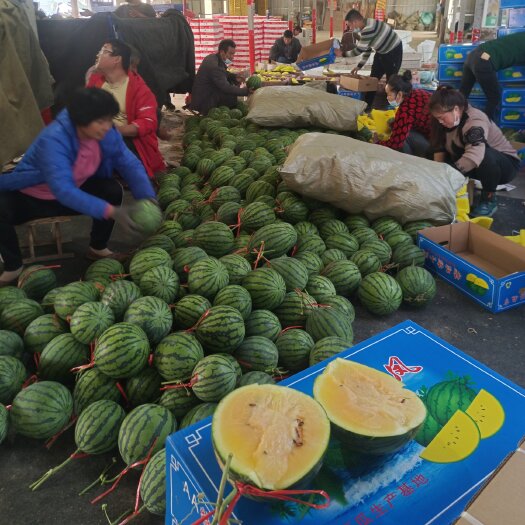 特小凤西瓜黄瓤西瓜3斤一6斤种植产地大量上市中口感好