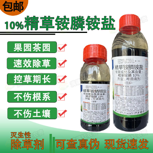 荥阳市10%精草铵膦铵盐非耕地果园茶园荒地牛筋草杂草一扫光灭草除草
