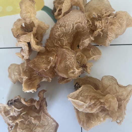滕州市羊肚耳 沙耳