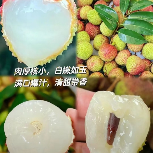 海口三门坡妃子笑，白糖罂