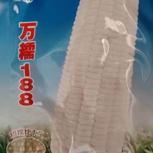 凌海市万糯188