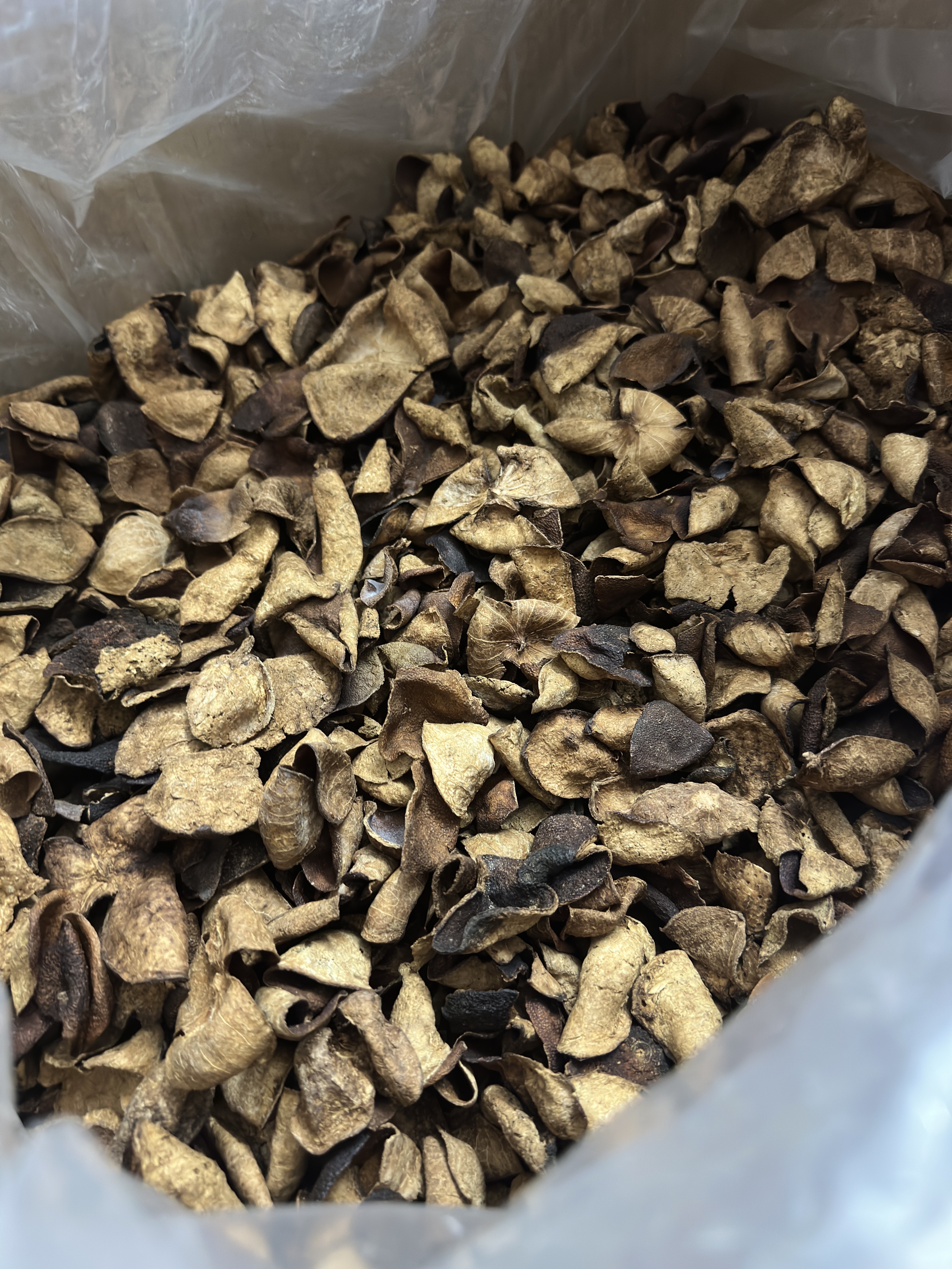 新会陈皮断片 批发价陈皮碎 五年陈皮 陈皮干 陈皮角碎批发价