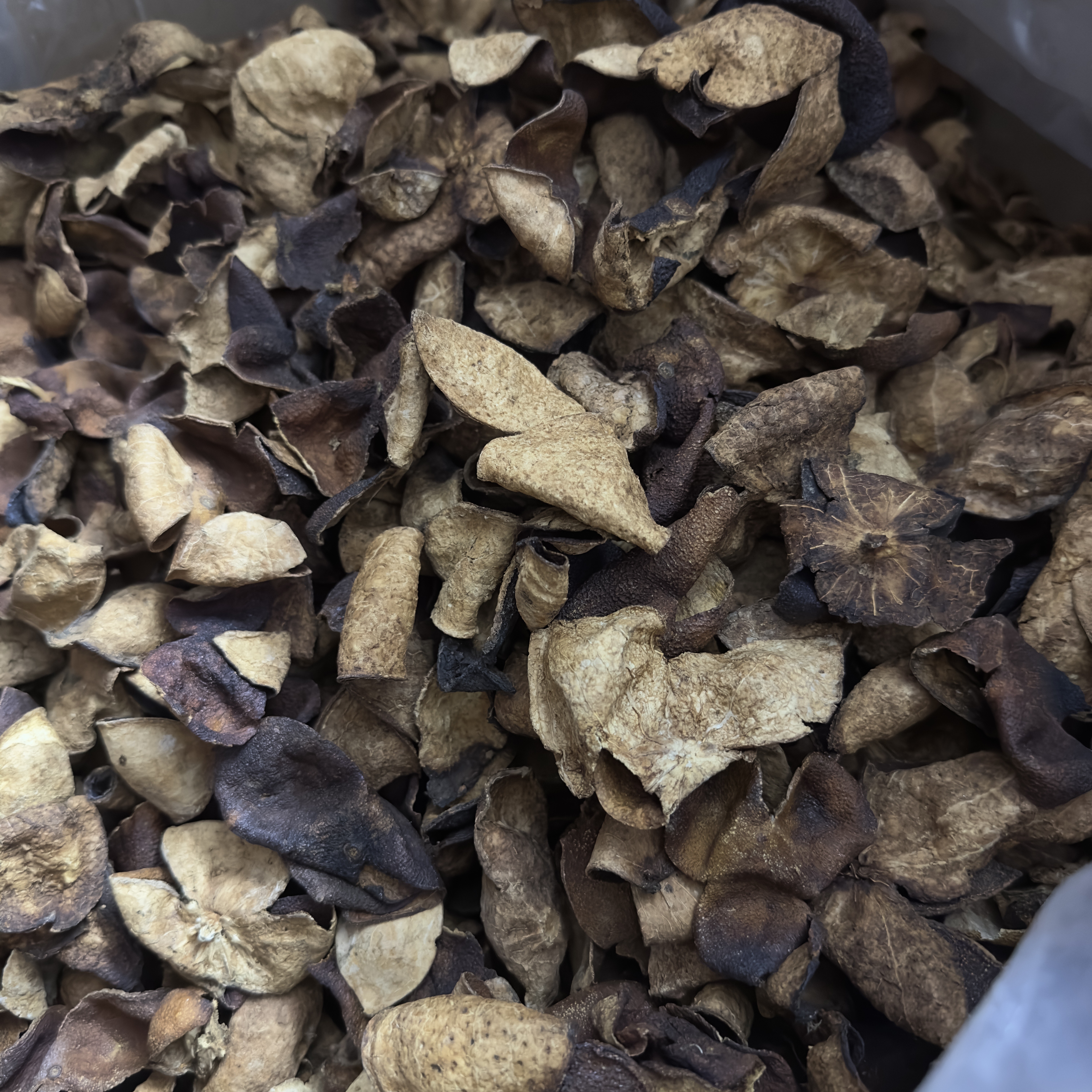 新会陈皮断片 批发价陈皮碎 五年陈皮 陈皮干 陈皮角碎批发价