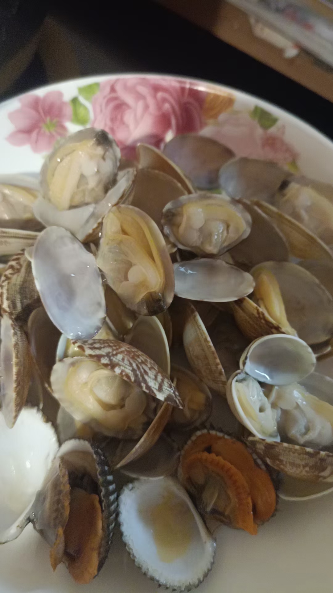 蛤蜊花甲，肥度好，无沙工艺，货源充足，团购商超欢迎合作