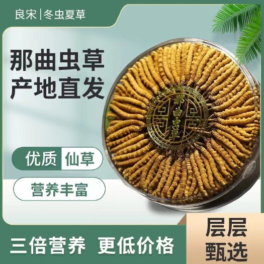 拉萨【良宋】西藏那曲纯冬虫夏草 源头直销 假一赔十