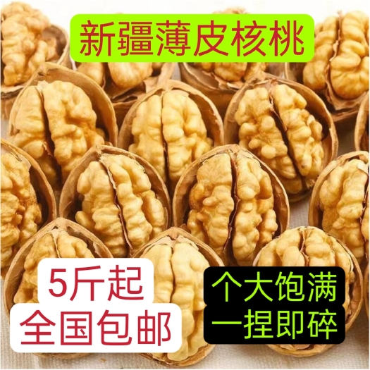 新货新疆薄皮核桃大果饱满核桃原味干果核桃一箱批发全国包邮