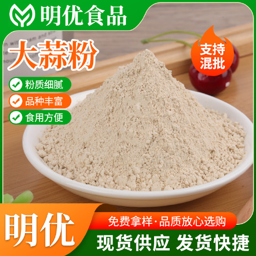 兴化市脱水大蒜粉 烧烤腌肉蒜香粉 批发食用商用调料500g大蒜粉