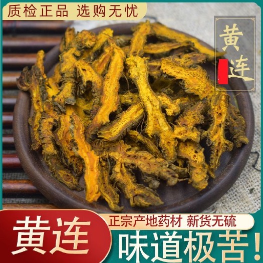 长沙四川黄连正品黄联黄莲鸡爪肝火泡水泡茶打粉药材500g包邮