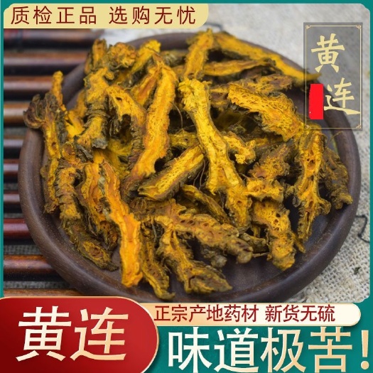 四川黄连正品黄联黄莲鸡爪肝火泡水泡茶打粉药材500g包邮