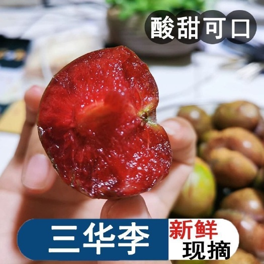 信宜市新鲜三华李钱排新鲜水果现摘红心芙蓉李脆甜一件代发包邮