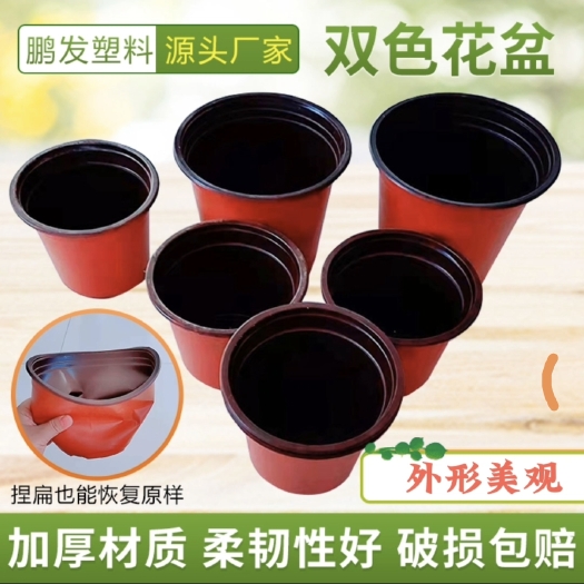 玉田县双色盆花盆 双色杯厂家直销 量大优惠 质量可靠