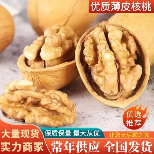 乐陵市电商社区配送袋装新疆核桃 薄皮核桃厂家定制